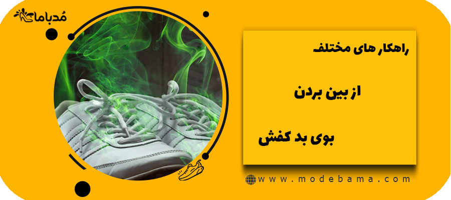 راهکار های مختلف از بین بردن بوی بد کفش
